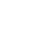 Security Icon